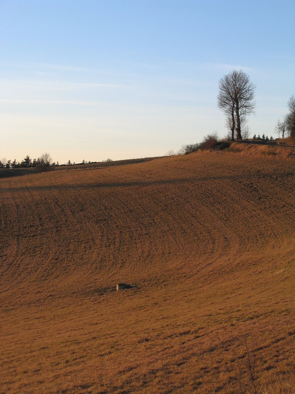 Parcelle cultivée après le passage du tracteur