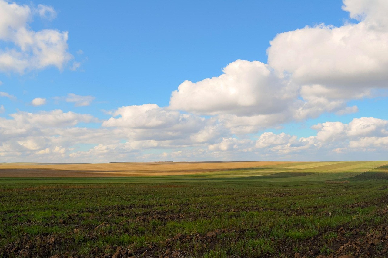 Paysage agricole de campagne en France