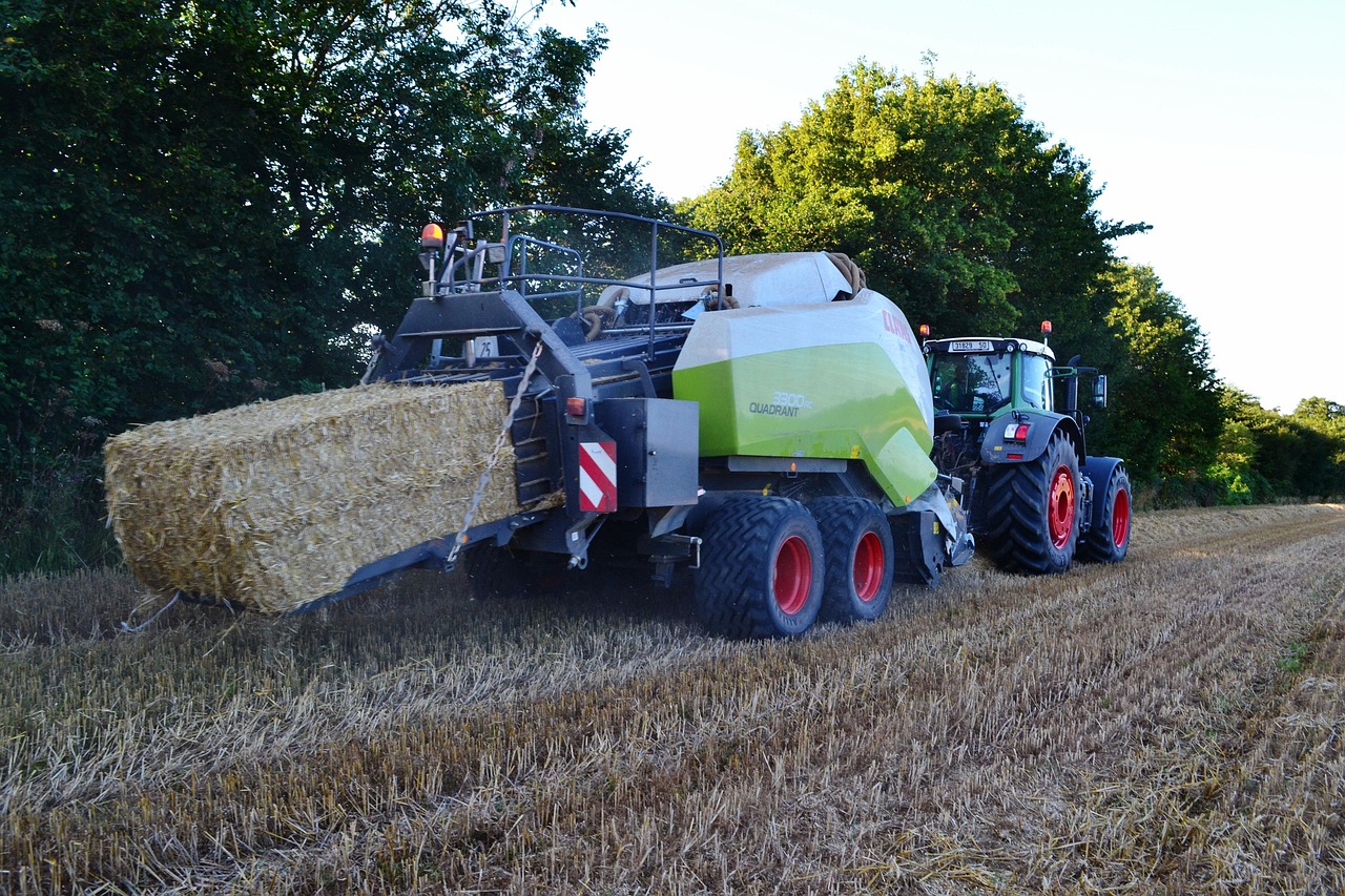 Moisson de cereales dans un champ sous le soleil