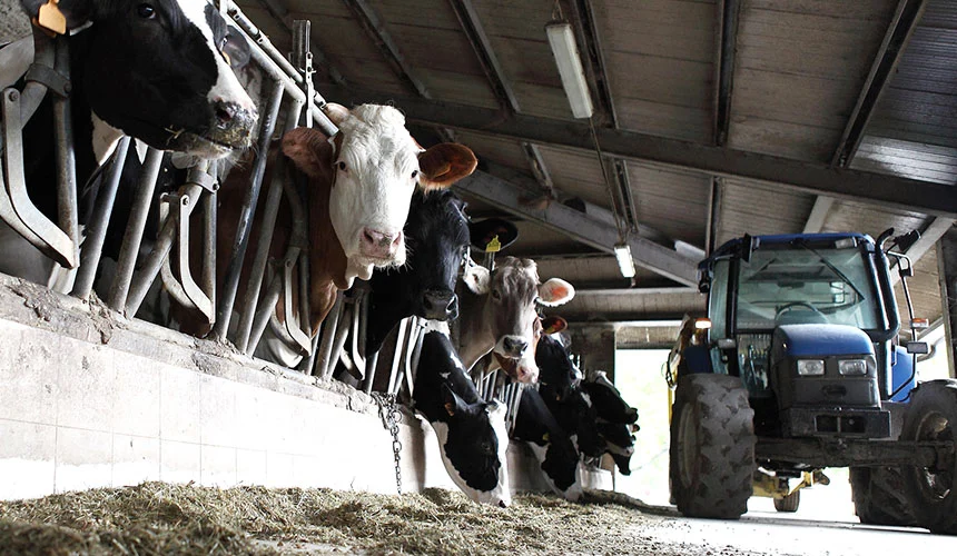 Tracteur de polyculture-élevage au travail