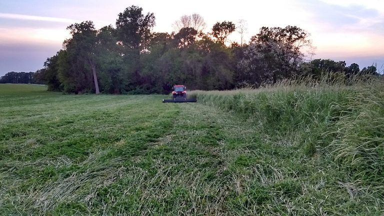 Rouleau destructeur couchant un couvert végétal développé